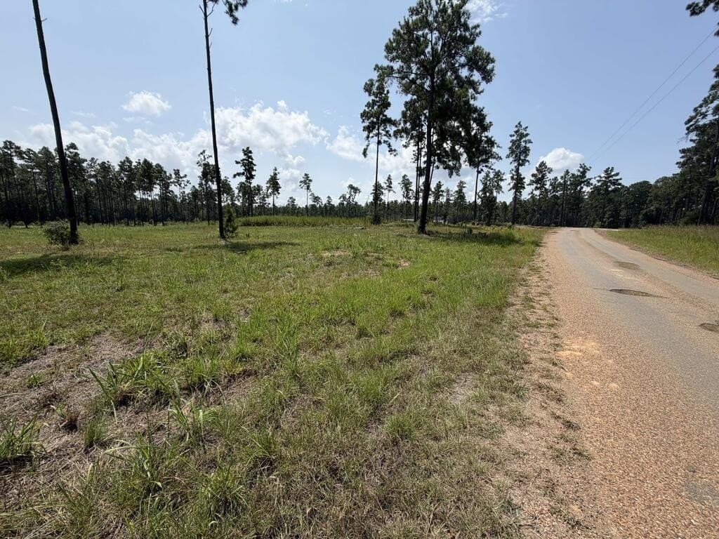 1.03 acres in Texas County - photo 6