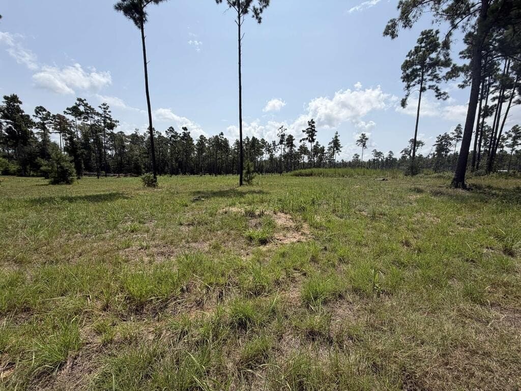 1.03 acres in Texas County - photo 8