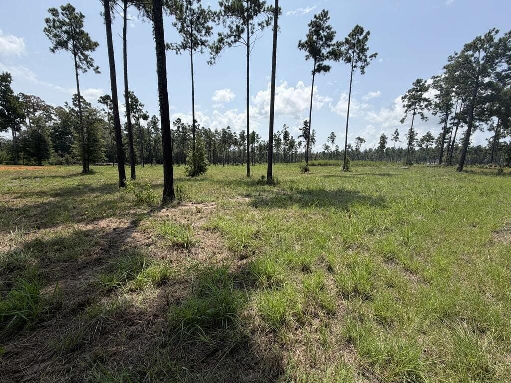1.03 acres in Texas County - photo 3