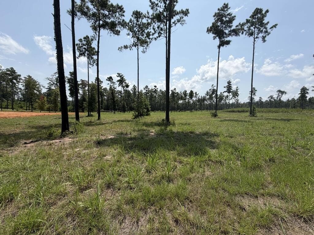 1.03 acres in Texas County - photo 4