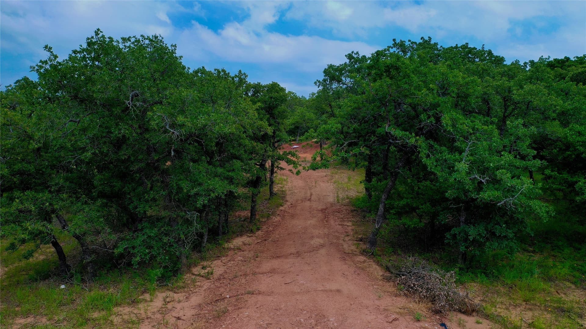 1.19 acres in Montague County - photo 8
