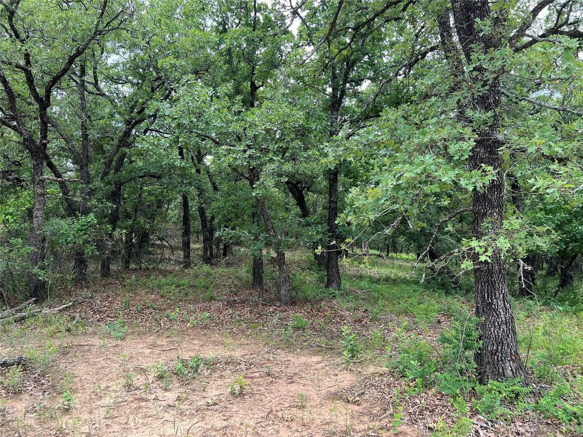 1.19 acres in Montague County - photo 25