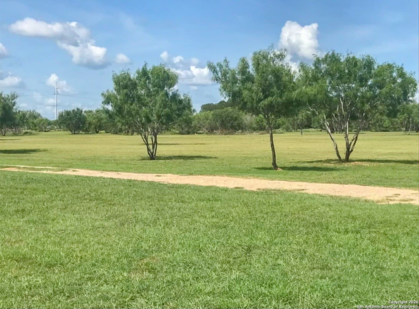 14 acres in Frio County gallery image 2