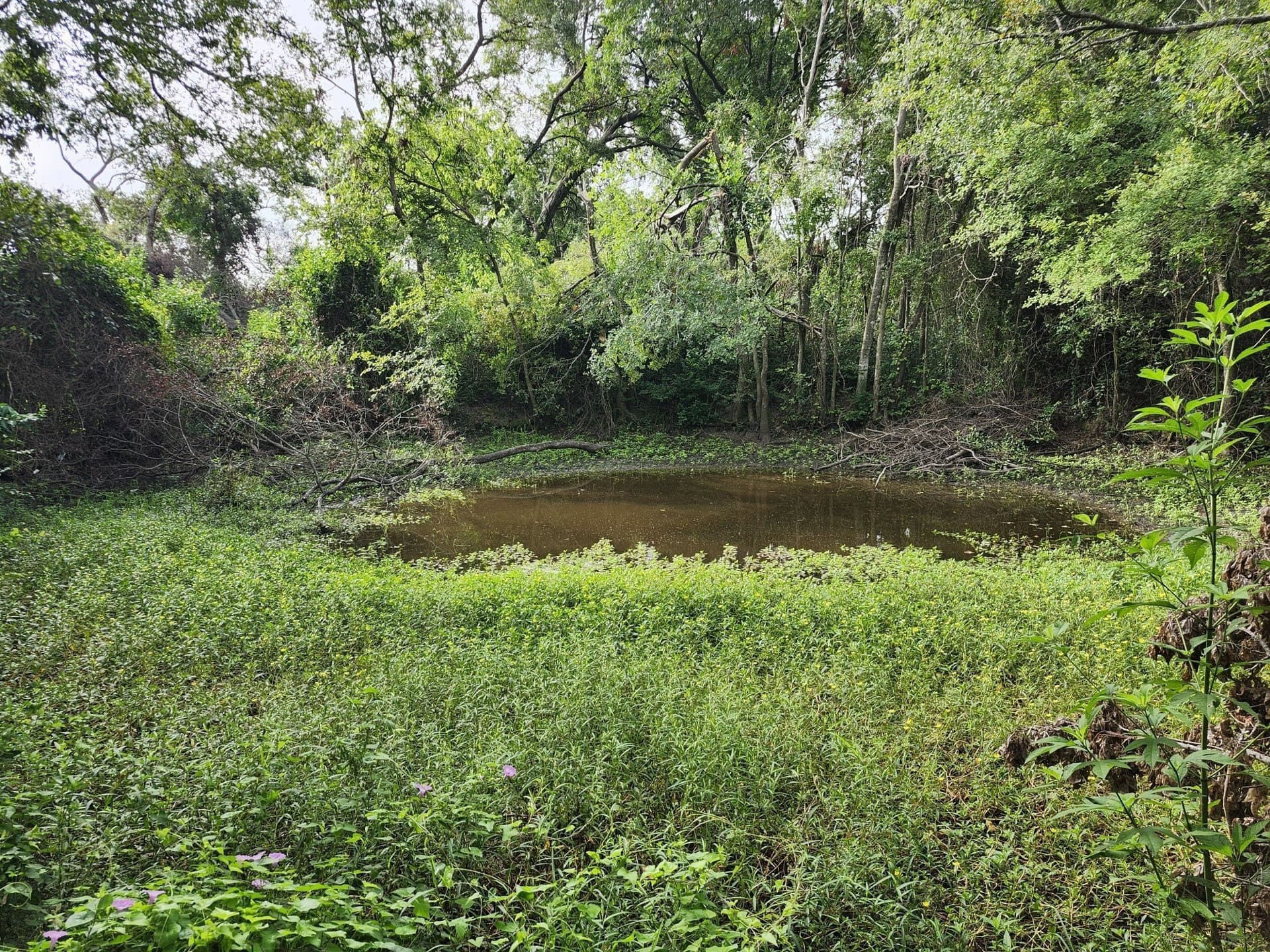 4.2 acres in Falls County - photo 11
