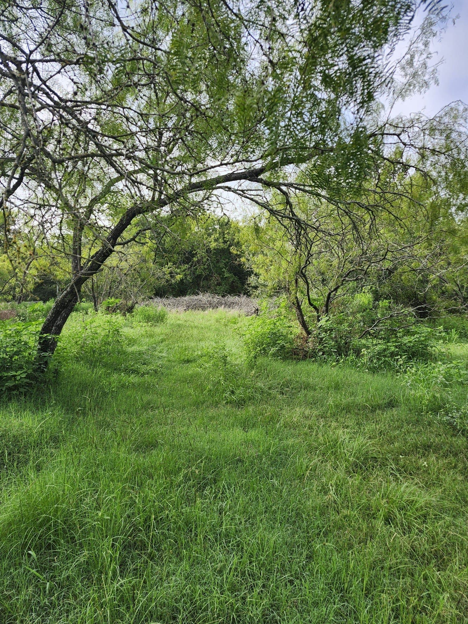 4.2 acres in Falls County - photo 7