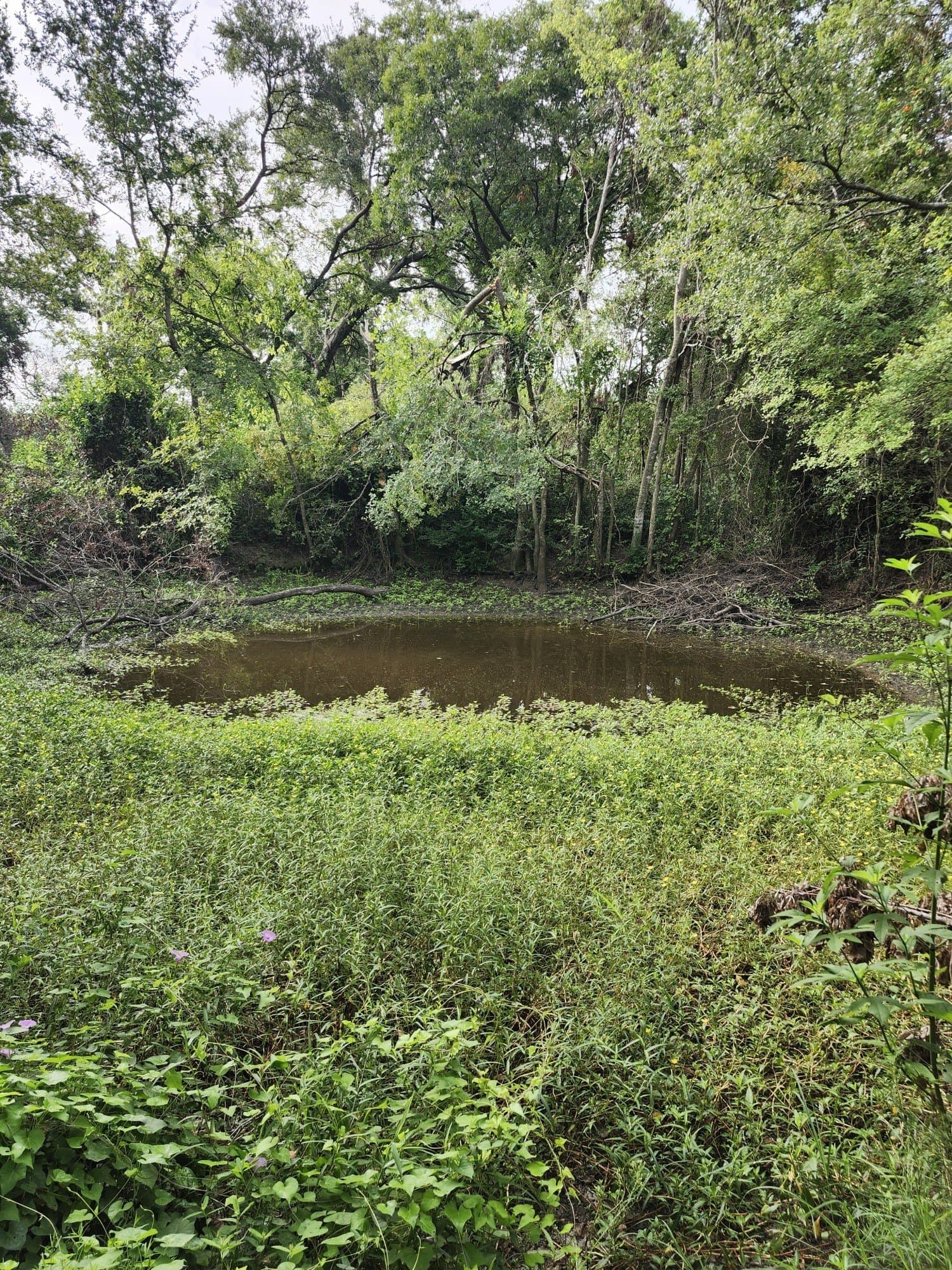 4.2 acres in Falls County - photo 10