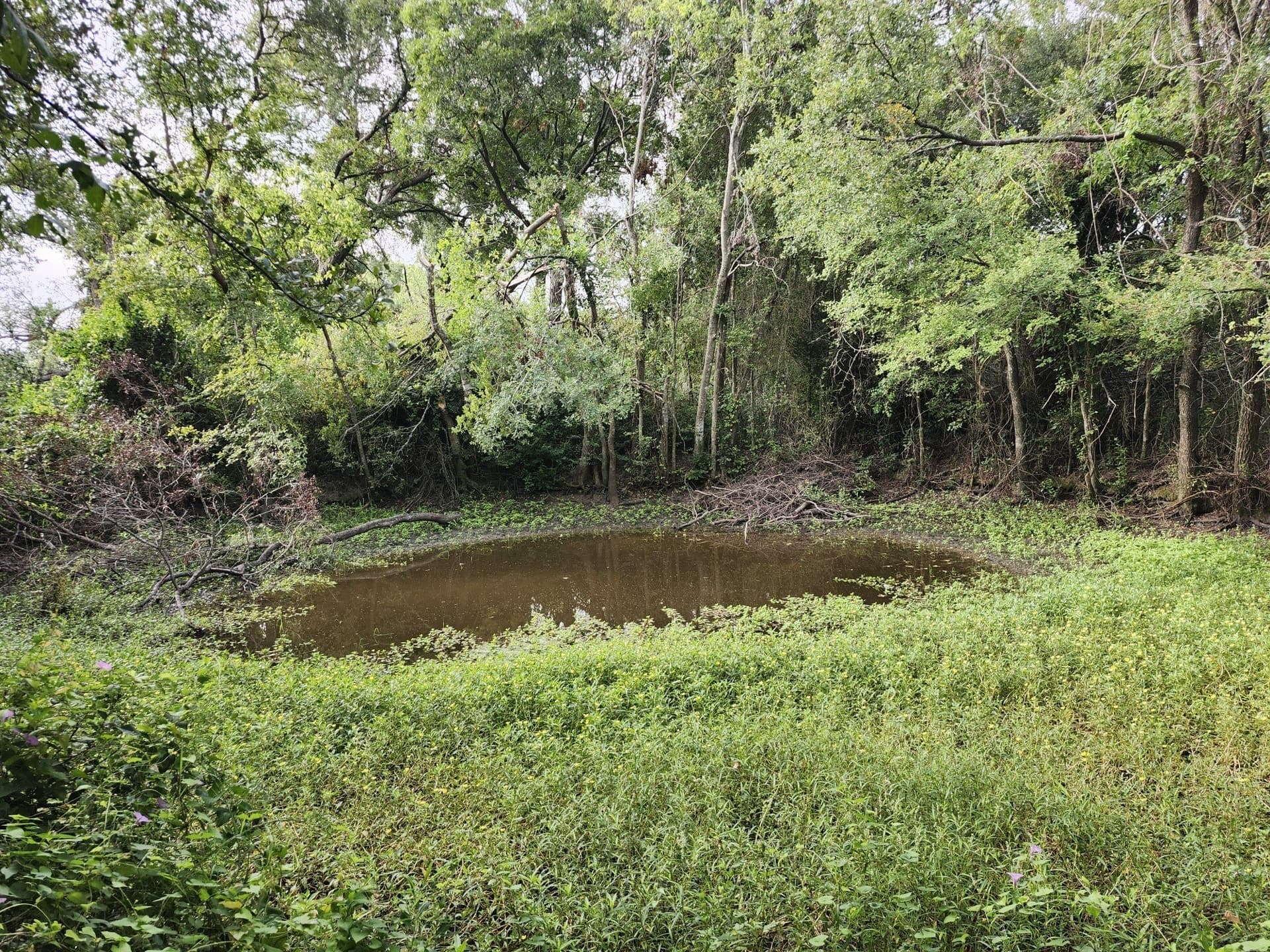 4.2 acres in Falls County - photo 12