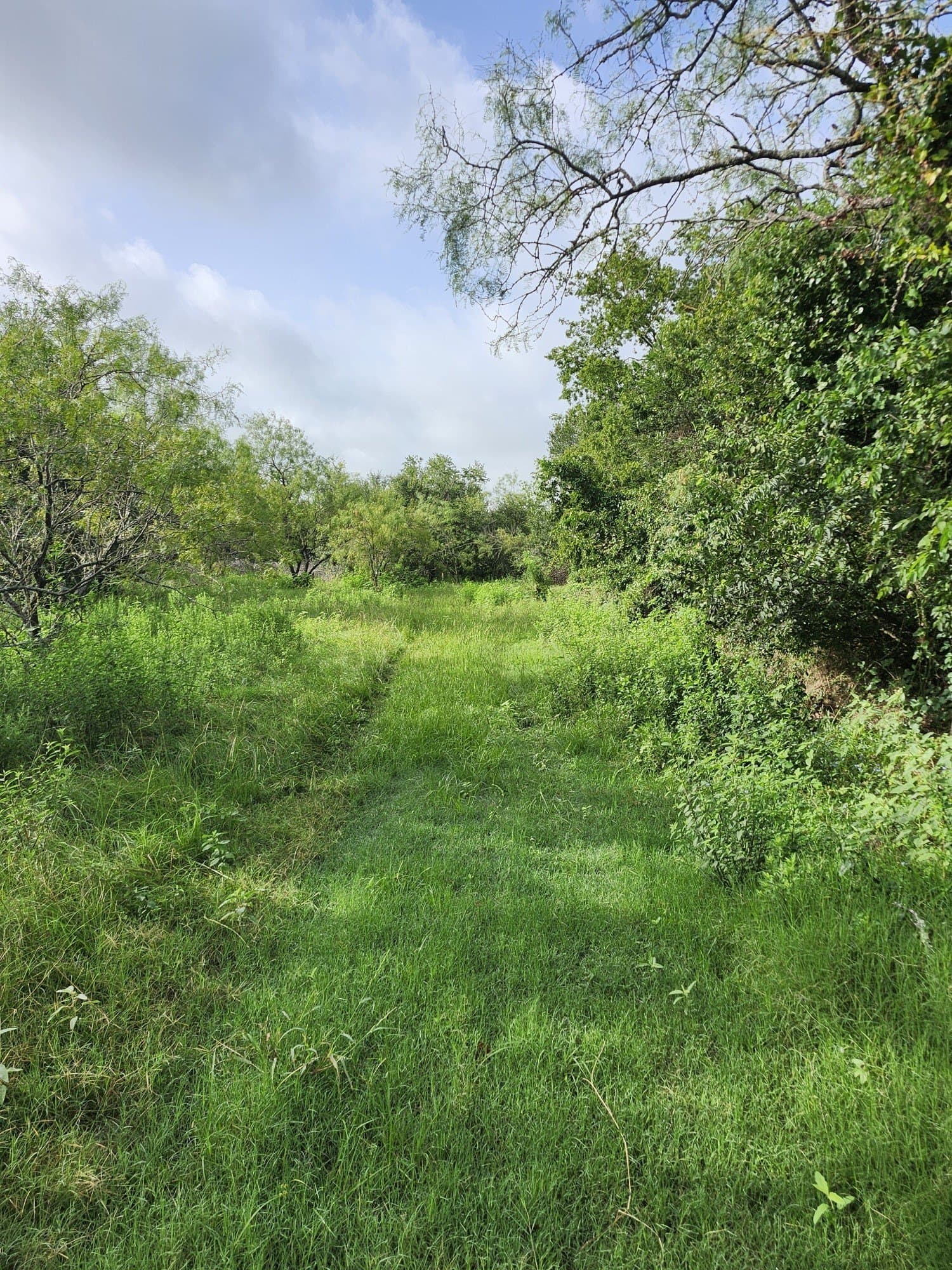 4.2 acres in Falls County gallery image 4