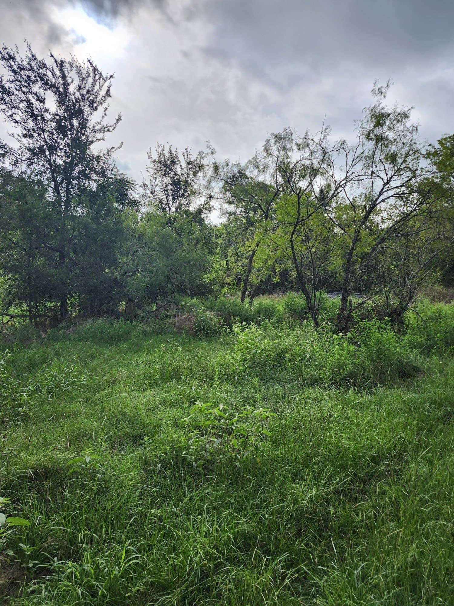 4.2 acres in Falls County - photo 8