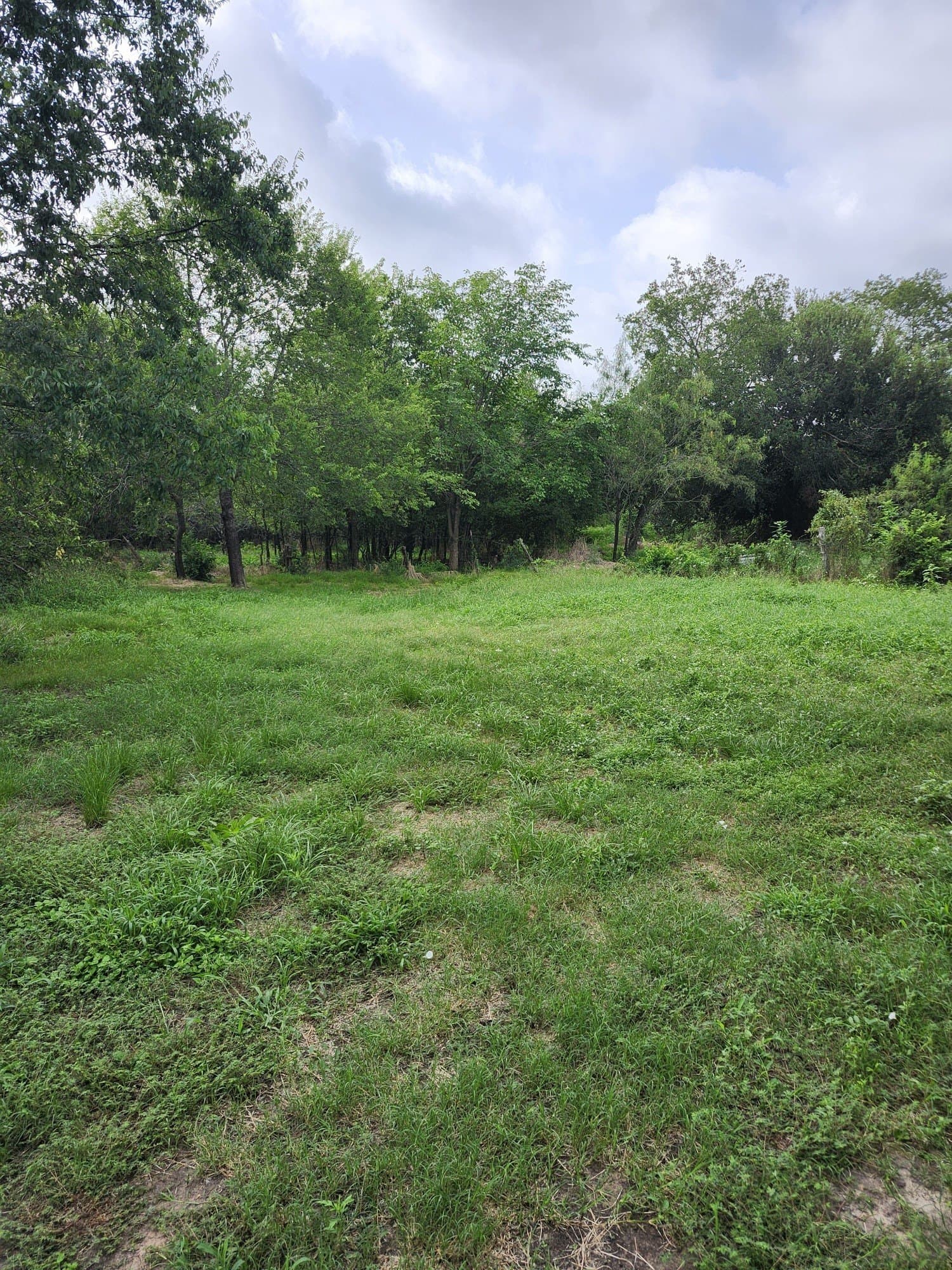 4.2 acres in Falls County - photo 9