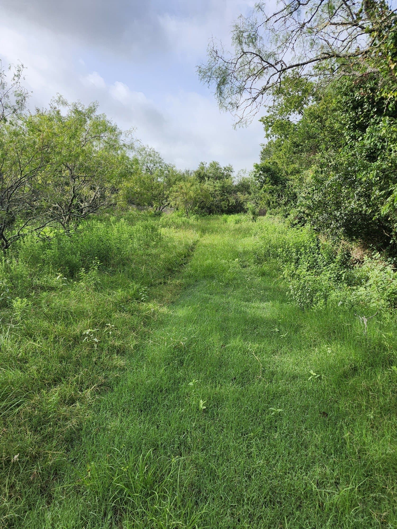 4.2 acres in Falls County featured view