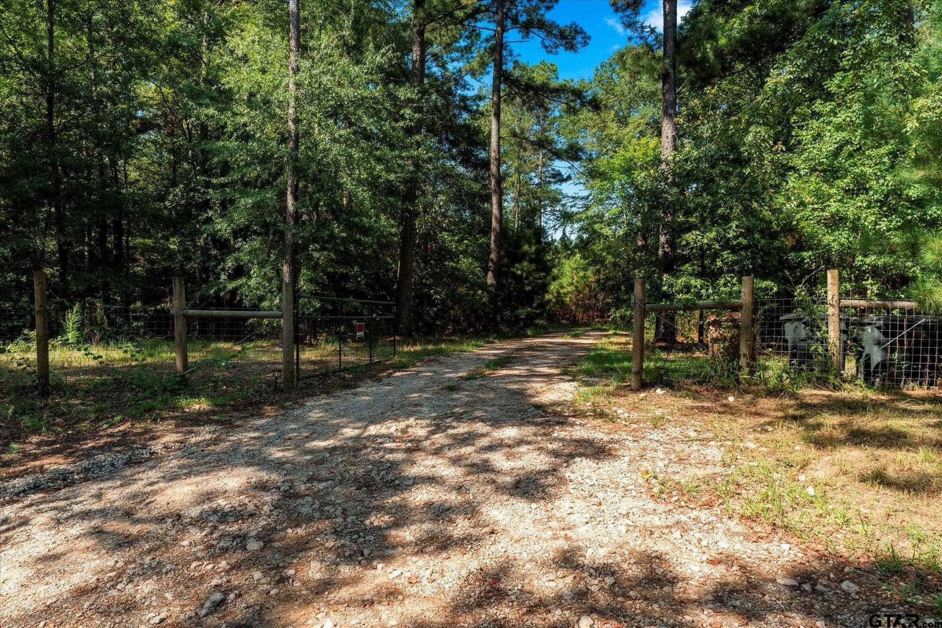 41 acres in Camp County gallery image 4