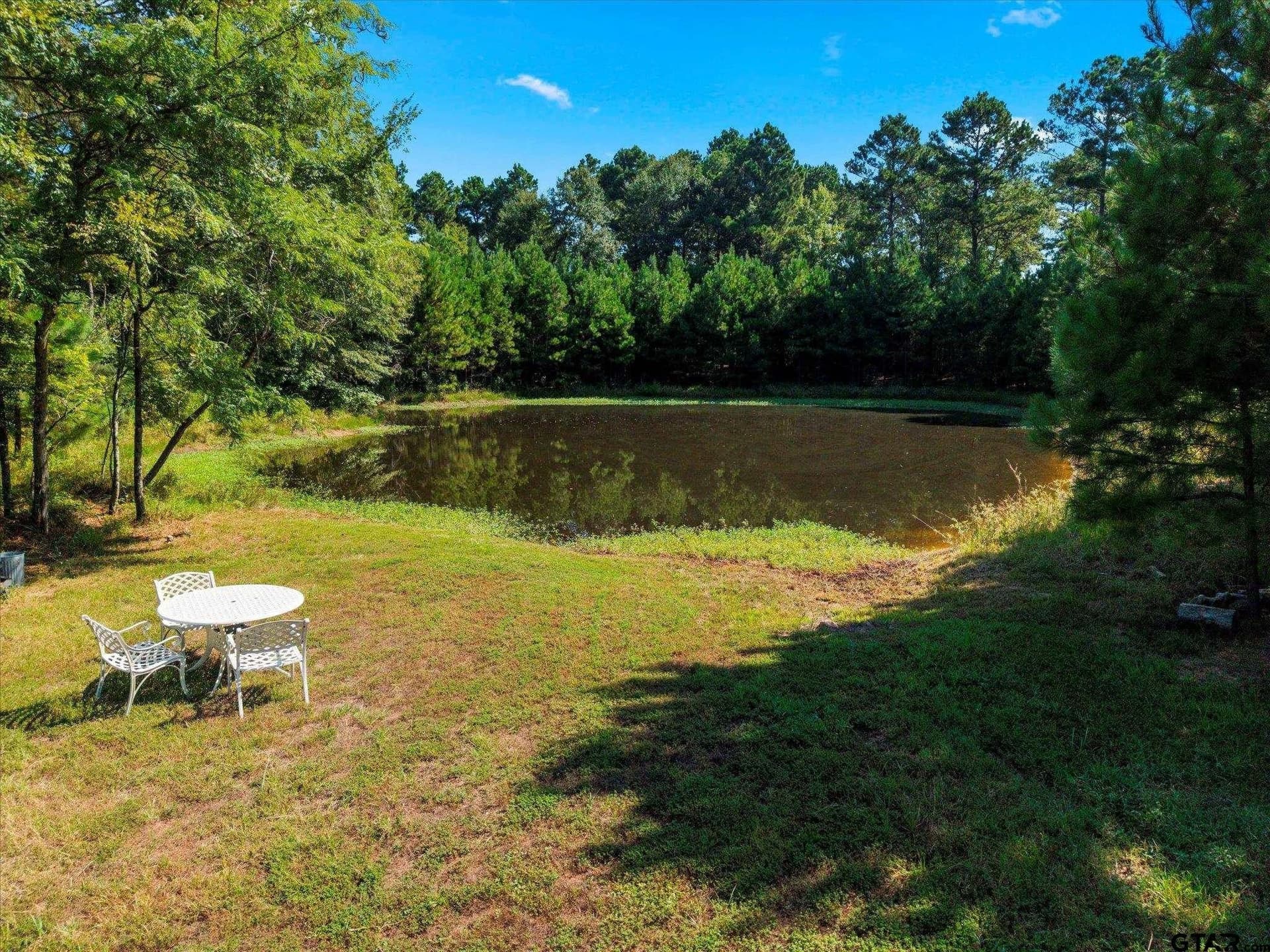 41 acres in Camp County featured view