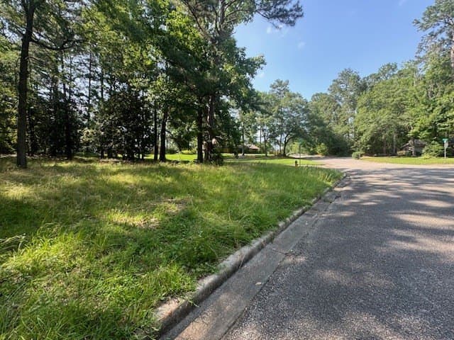 0.41 acres in Texas County - photo 5