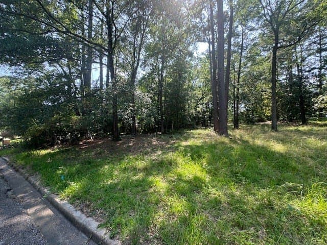 0.41 acres in Texas County - photo 3