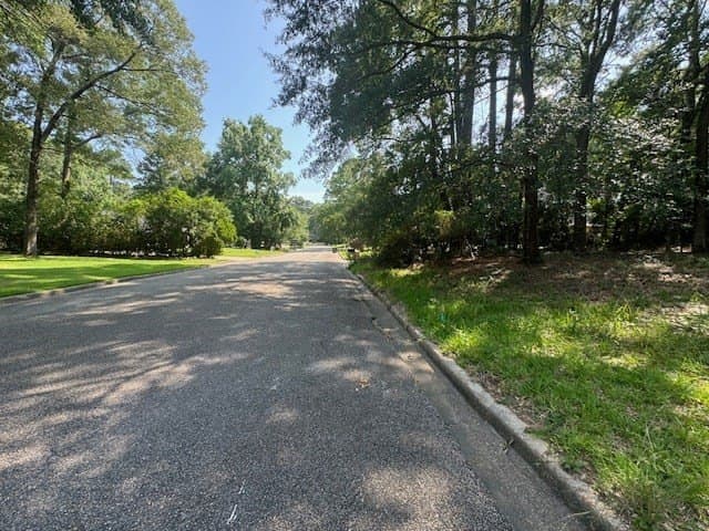 0.41 acres in Texas County - photo 4