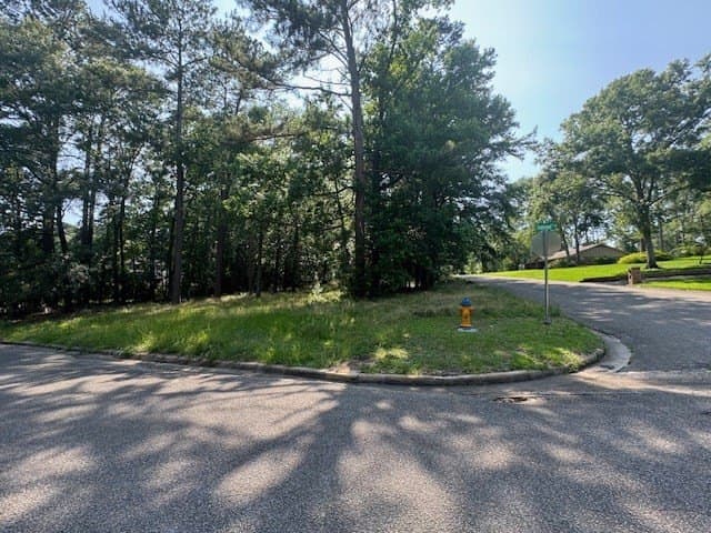 0.41 acres in Texas County - photo 6
