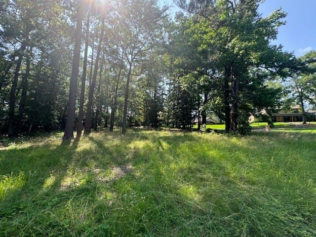 0.41 acres in Texas County - photo 2