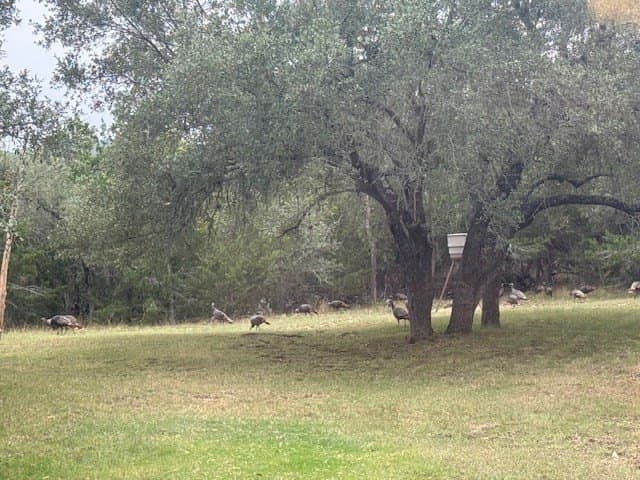 10.05 acres in Bandera County - photo 58
