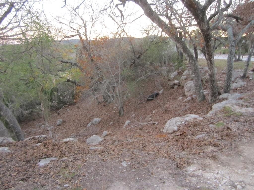 10.05 acres in Bandera County - photo 63