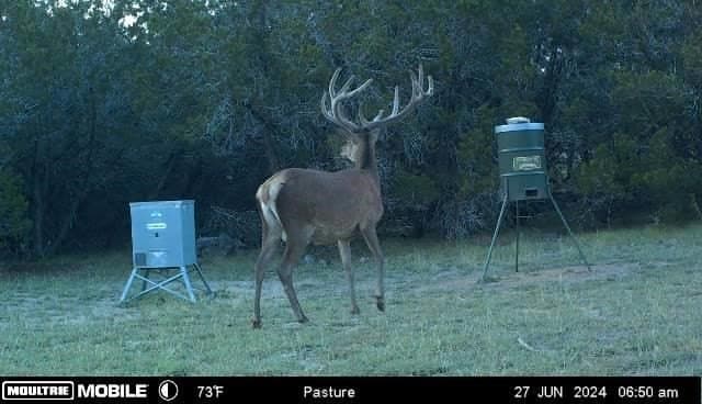 10.05 acres in Bandera County - photo 8