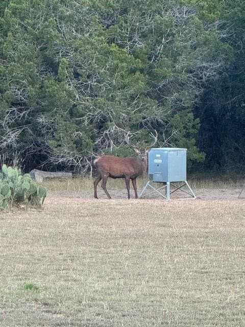10.05 acres in Bandera County