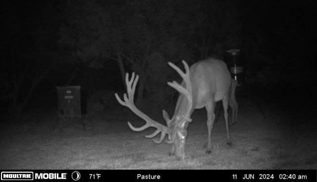10.05 acres in Bandera County - photo 60