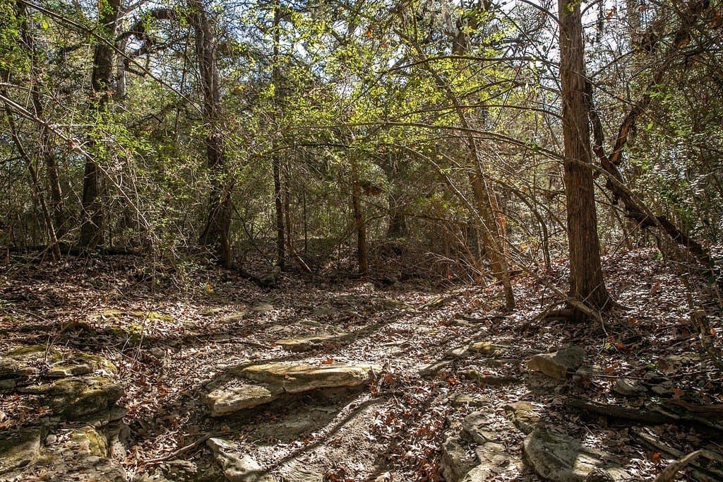28.2 acres in Washington County - photo 28