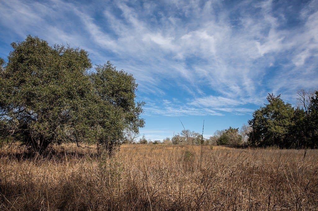 28.2 acres in Washington County gallery image 4