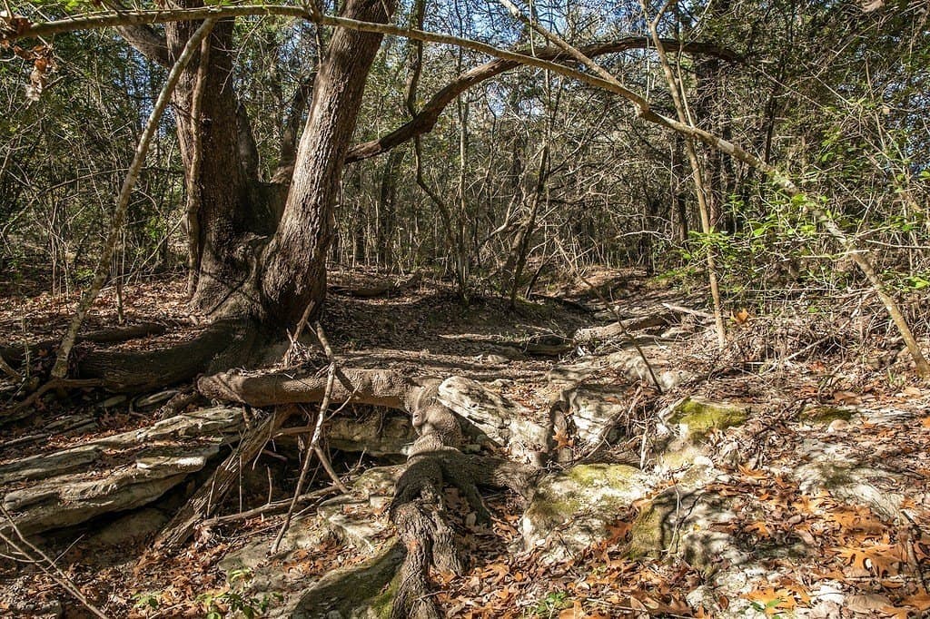 28.2 acres in Washington County - photo 29
