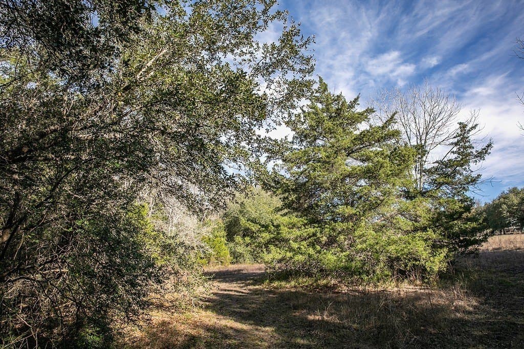 28.2 acres in Washington County - photo 26