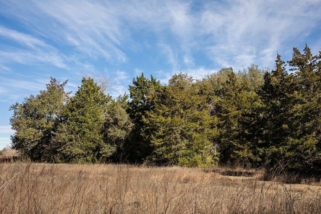 28.2 acres in Washington County - photo 22
