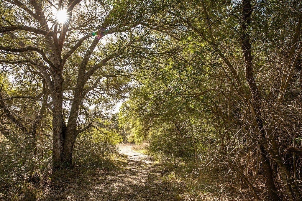 28.2 acres in Washington County - photo 6