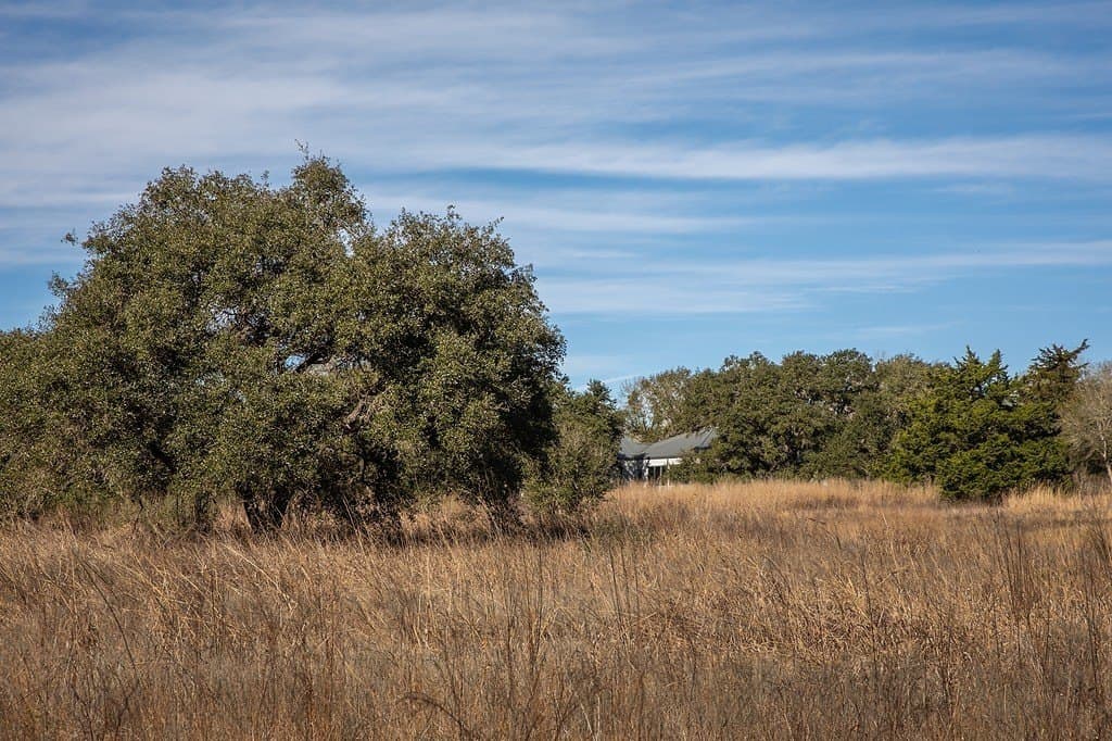 28.2 acres in Washington County - photo 23