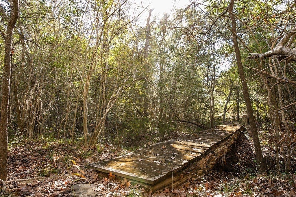 28.2 acres in Washington County - photo 21