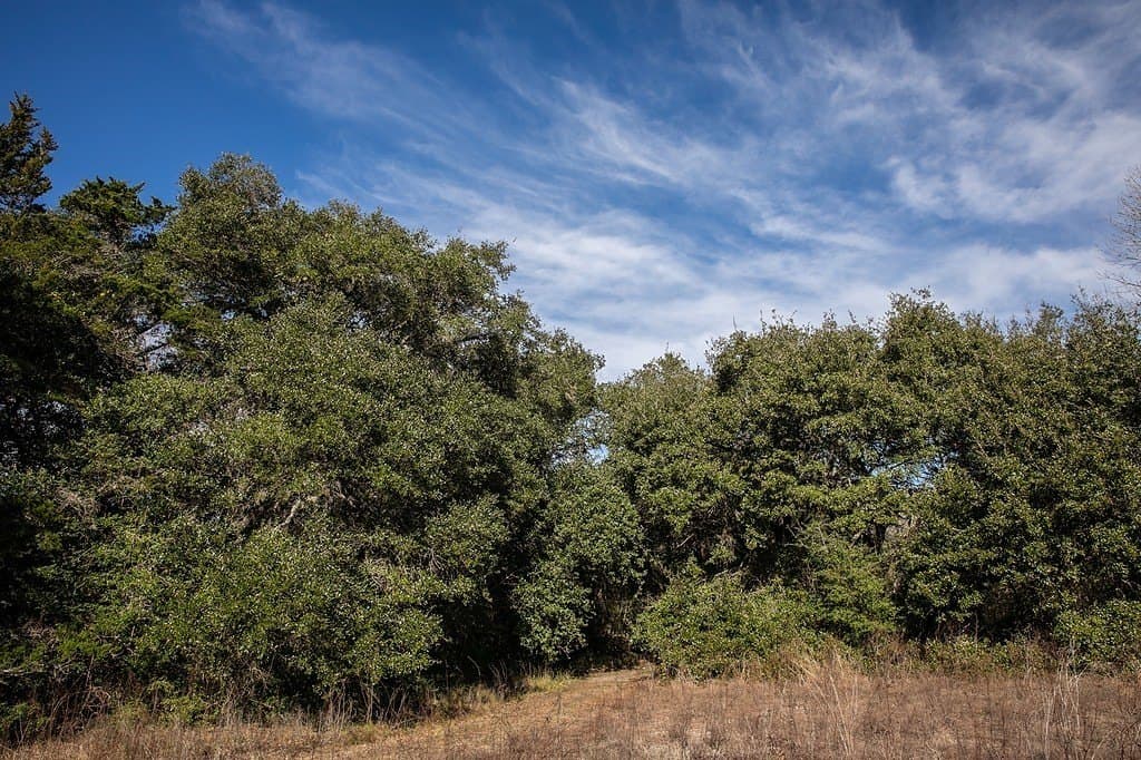 28.2 acres in Washington County featured view