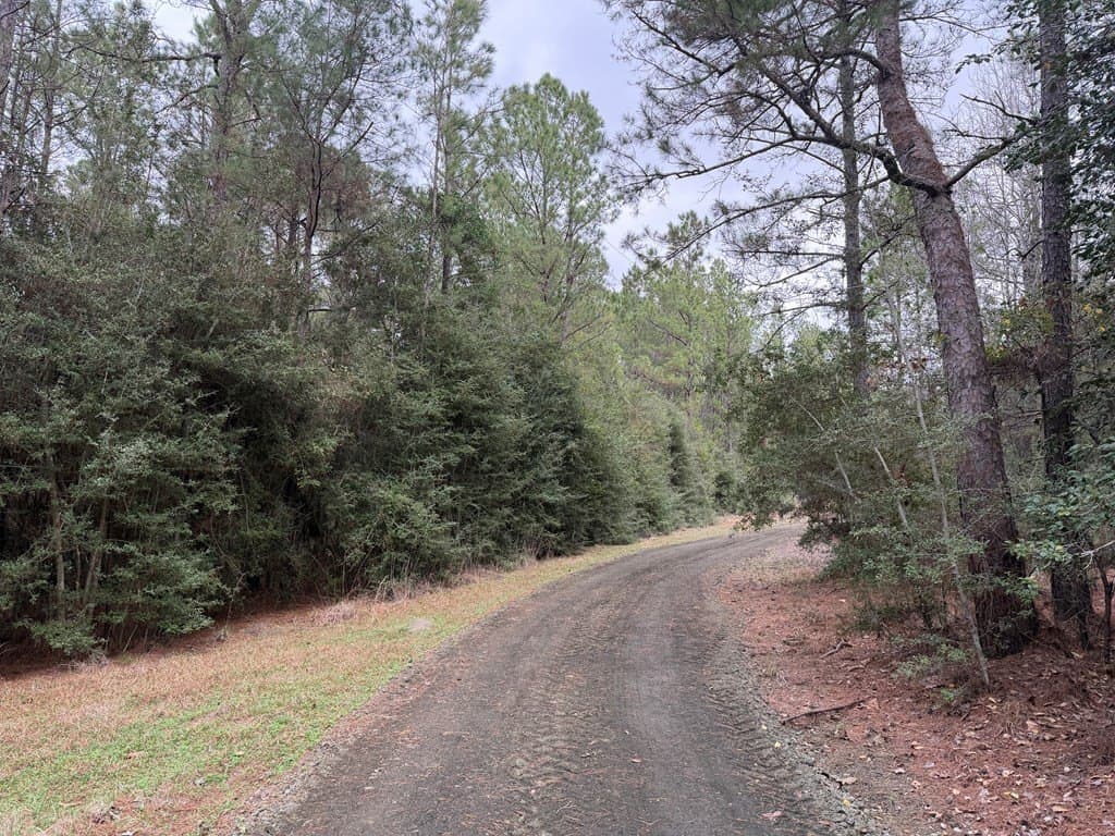 10 acres in Texas County gallery image 2