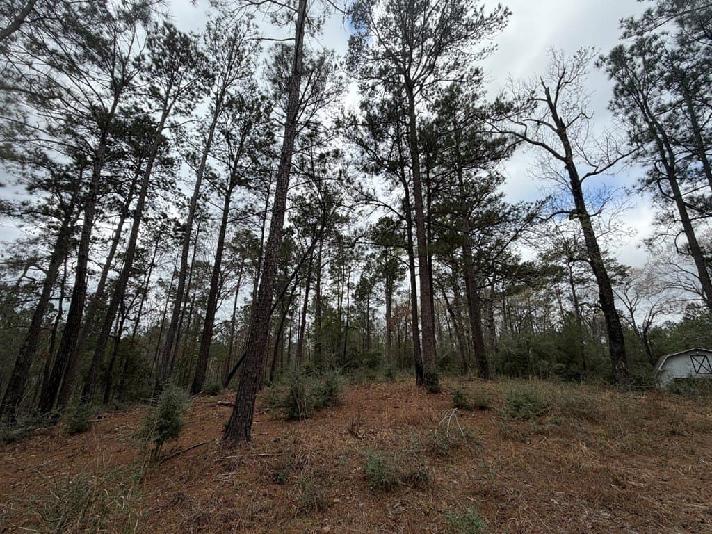 10 acres in Texas County gallery image 3