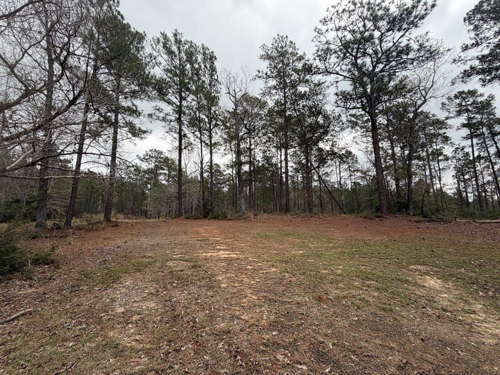 10 acres in Texas County gallery image 4