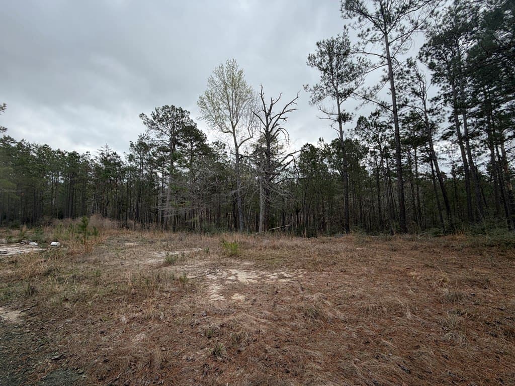 10 acres in Texas County featured view