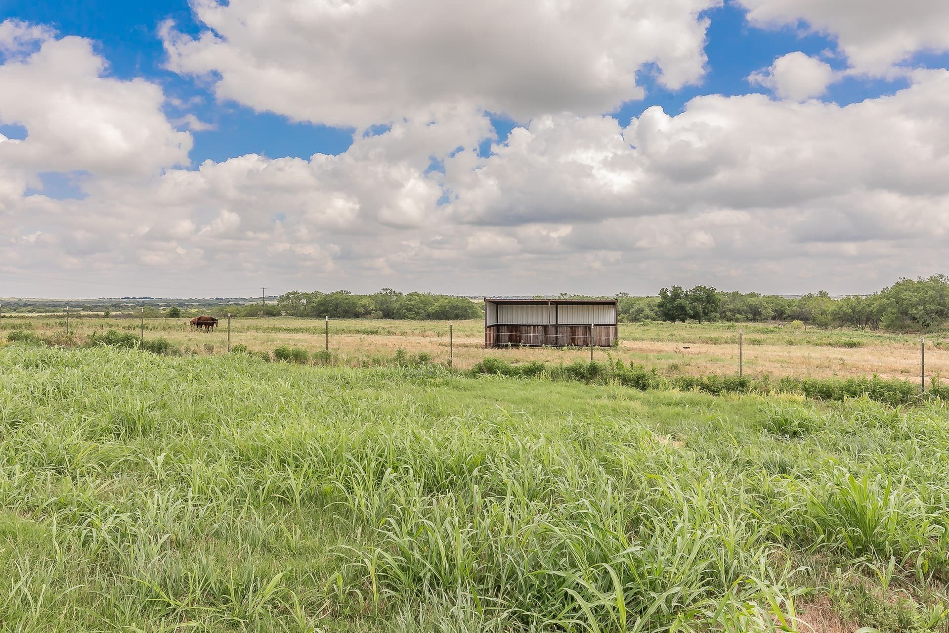 102 acres in Clay County - photo 12