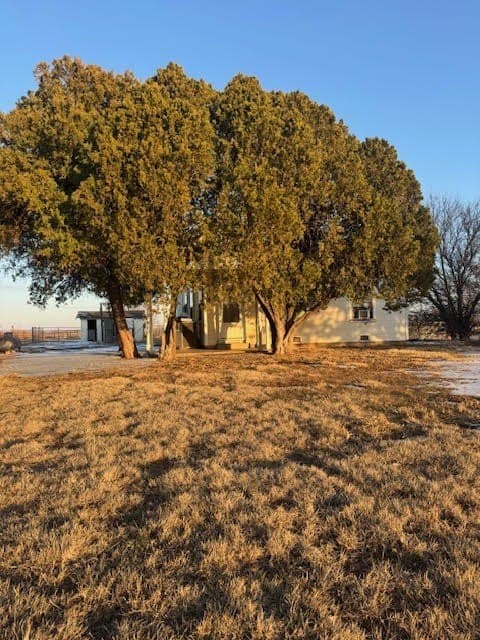 13.63 acres in Wichita County gallery image 3