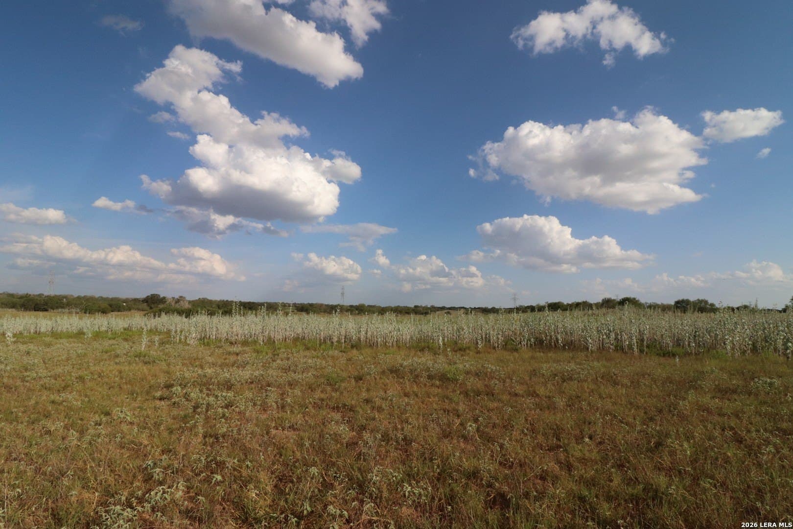 36 acres in Wilson County - photo 10