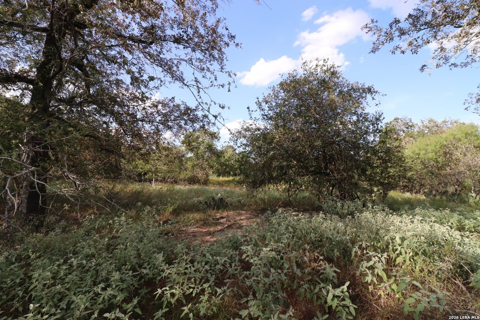 36 acres in Wilson County - photo 19