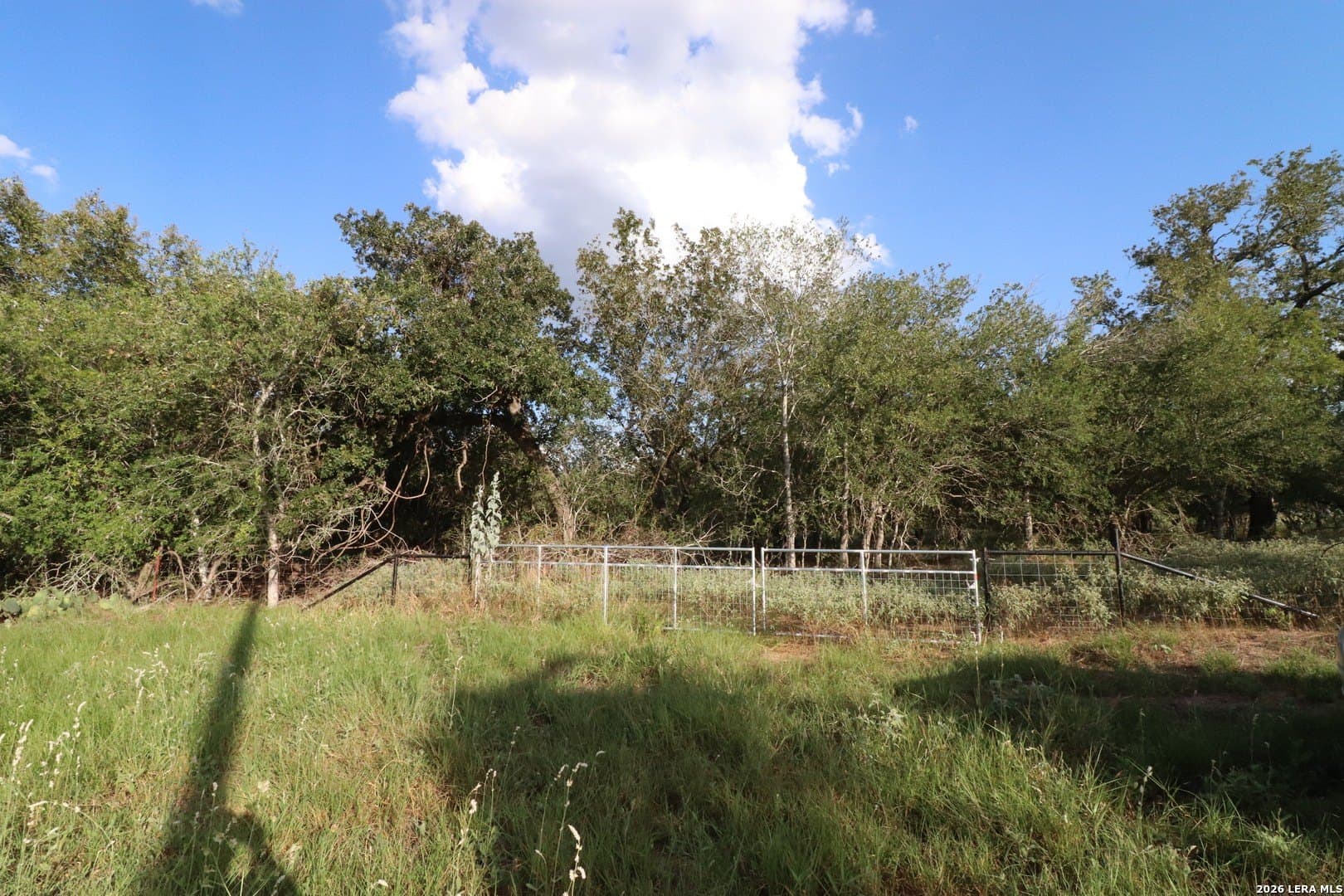 36 acres in Wilson County - photo 2