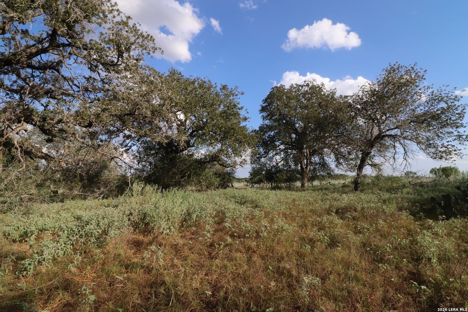 36 acres in Wilson County - photo 6