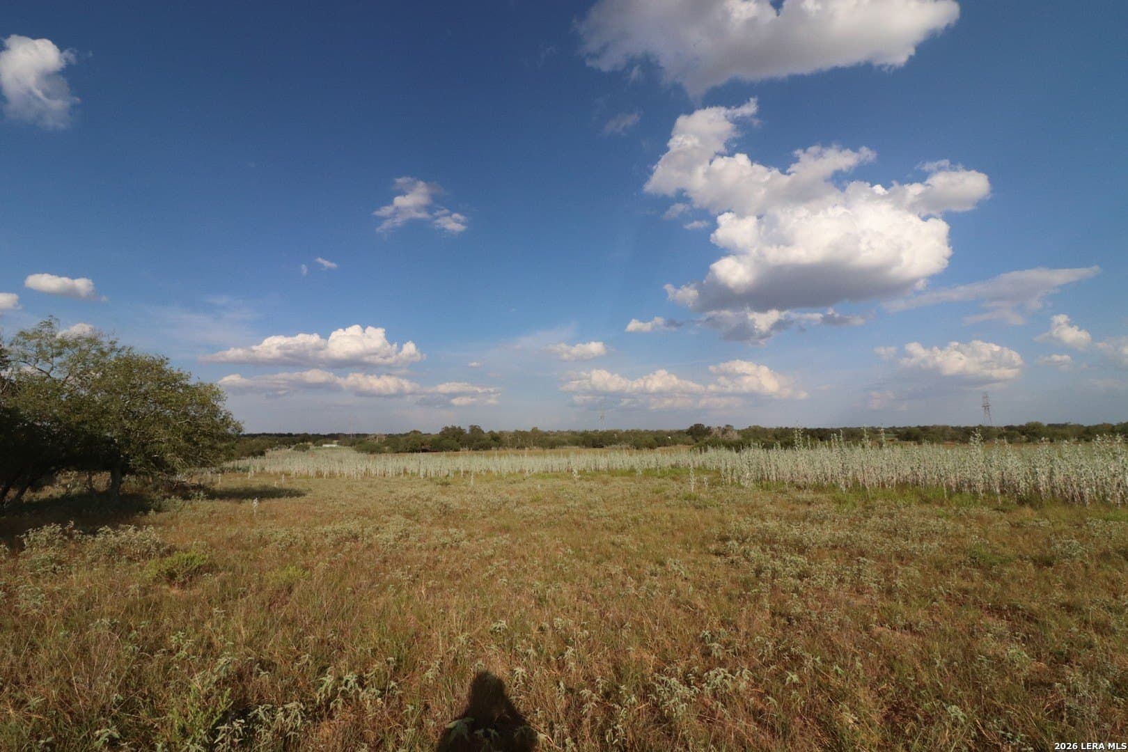 36 acres in Wilson County - photo 9