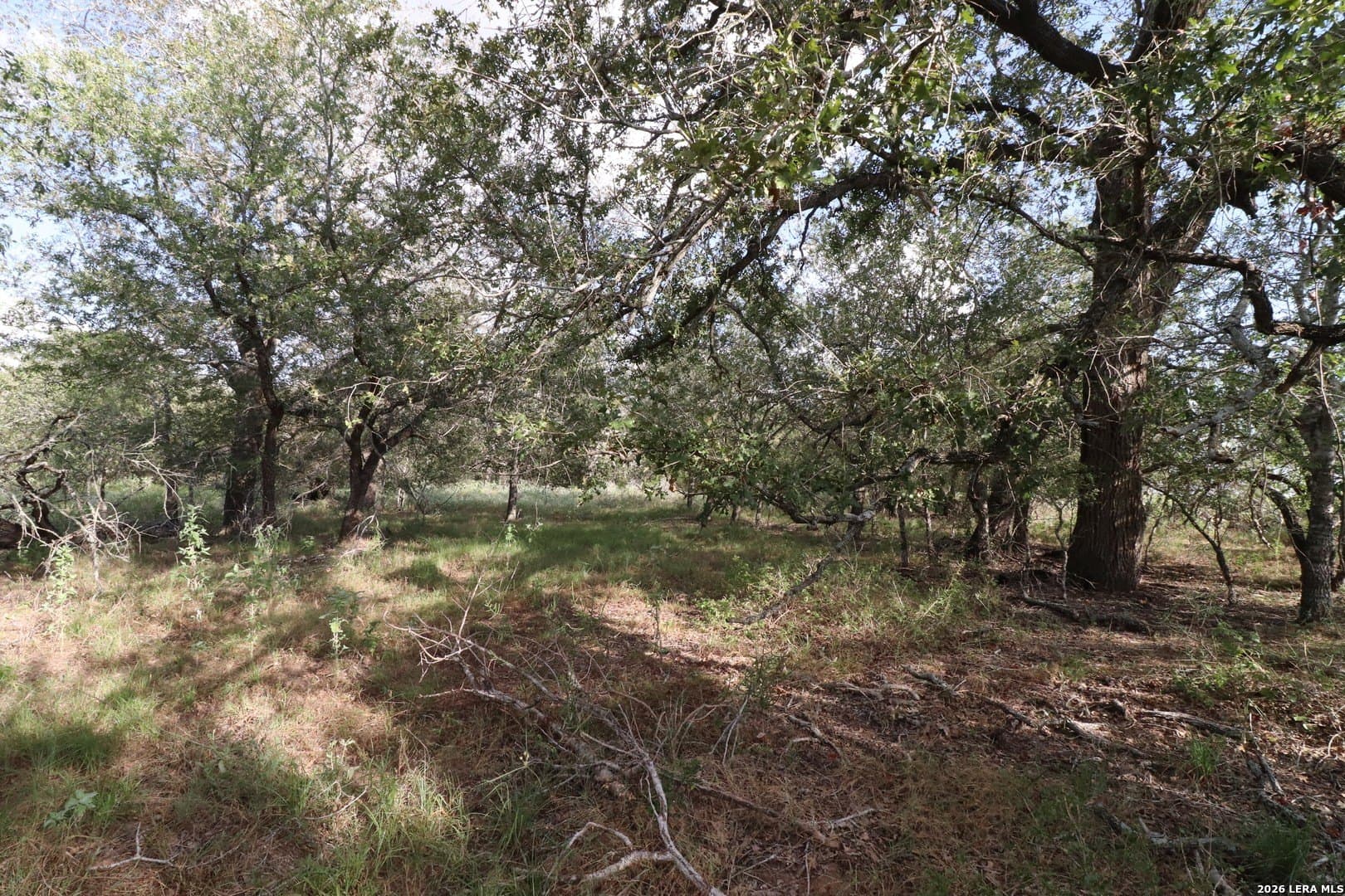 36 acres in Wilson County - photo 17