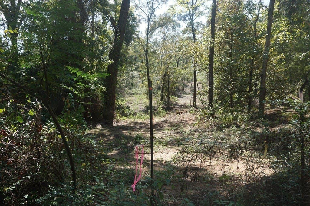 25.84 acres in ANDERSON County - photo 7