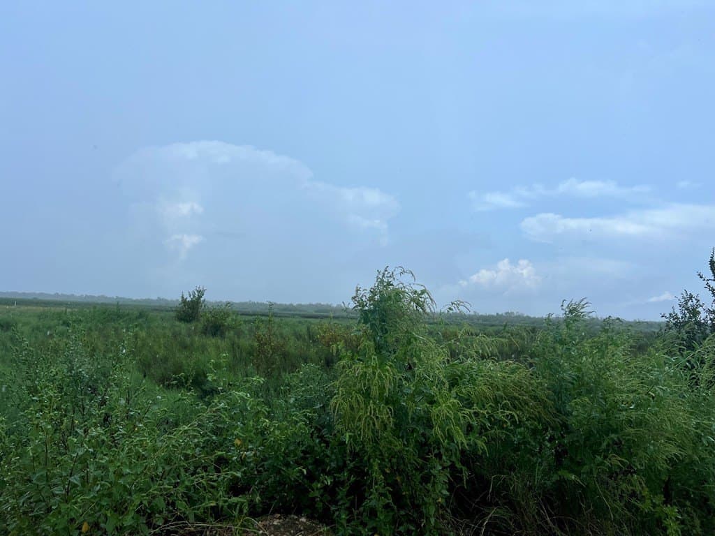1.04 acres in Calhoun County - photo 2